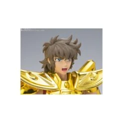 Bandai Saint Seiya Myth Cloth EX Gold Saint Sagittarius Aiolos Revival Version 18 Bandai Saint Seiya Myth Cloth EX Gold Saint Sagittarius Aiolos Revival Version -Japan World Negozio bandai saint seiya myth cloth ex gold saint sagittarius aiolos 7