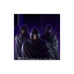 Bandai Saint Seyia Myth Cloth EX Coat Set Renegade Gold Saint Surplice TamashiWeb Exclusive 7 Bandai Saint Seyia Myth Cloth EX Coat Set Renegade Gold Saint Surplice TamashiWeb Exclusive -Japan World Negozio bandai saint seyia myth cloth ex coat set renegade gold saint surplice tamashiweb exclusive 3