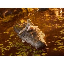 Hasbro G.I. Joe Classified Series Croc Master & Fiona 17 Hasbro G.I. Joe Classified Series Croc Master & Fiona -Japan World Negozio hasbro gi joe classified series croc master fiona 7